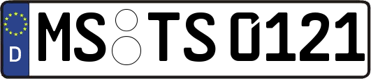 MS-TS0121