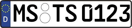 MS-TS0123