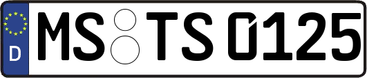 MS-TS0125