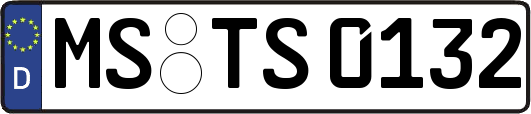 MS-TS0132