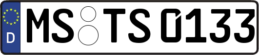 MS-TS0133