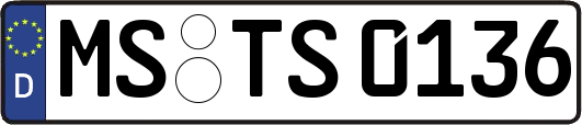 MS-TS0136