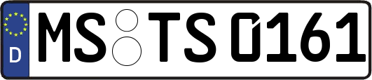 MS-TS0161