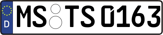 MS-TS0163