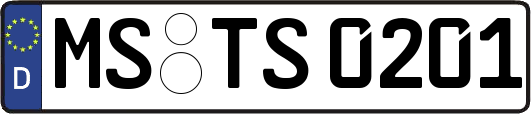 MS-TS0201