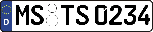 MS-TS0234