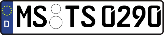 MS-TS0290