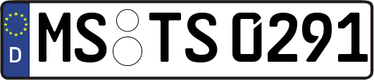 MS-TS0291