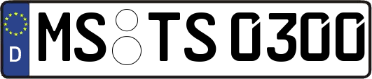 MS-TS0300