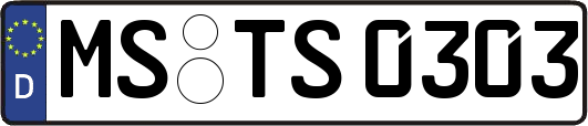 MS-TS0303