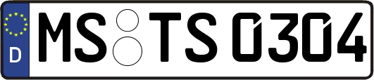 MS-TS0304