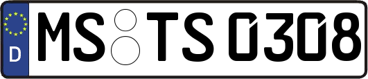 MS-TS0308