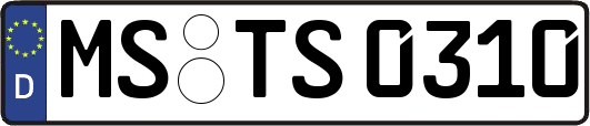 MS-TS0310