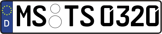 MS-TS0320