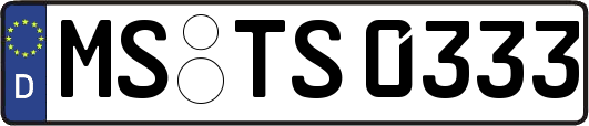 MS-TS0333