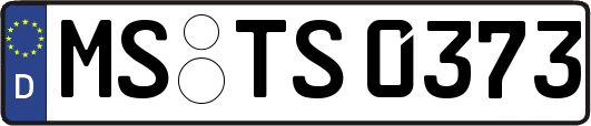 MS-TS0373