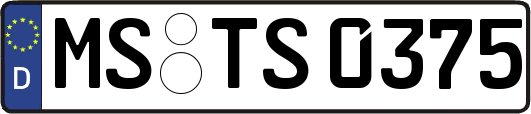 MS-TS0375