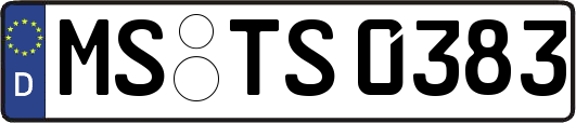 MS-TS0383