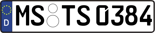 MS-TS0384
