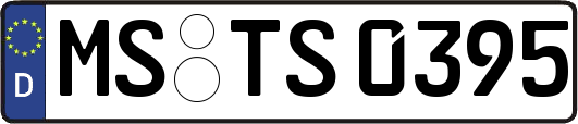 MS-TS0395