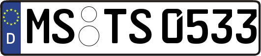 MS-TS0533