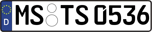 MS-TS0536