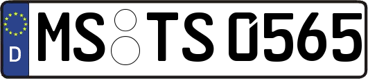MS-TS0565
