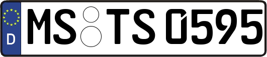 MS-TS0595