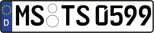 MS-TS0599