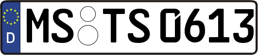 MS-TS0613