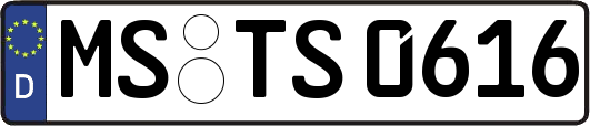 MS-TS0616