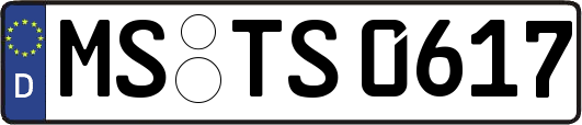 MS-TS0617