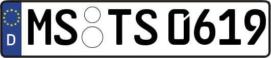 MS-TS0619