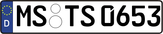 MS-TS0653