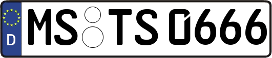 MS-TS0666