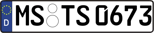 MS-TS0673