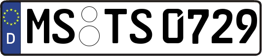 MS-TS0729