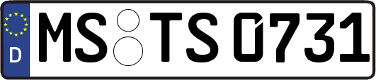 MS-TS0731