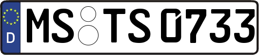 MS-TS0733