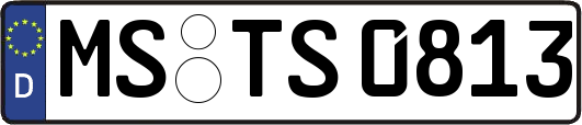 MS-TS0813