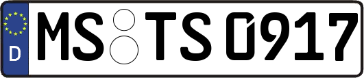 MS-TS0917