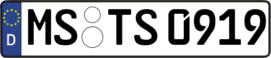 MS-TS0919