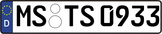 MS-TS0933