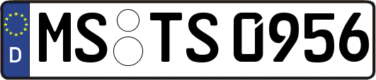 MS-TS0956