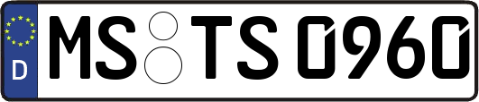 MS-TS0960