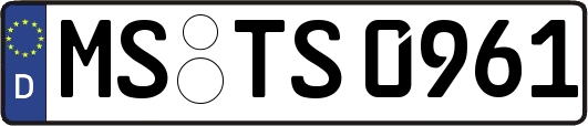 MS-TS0961