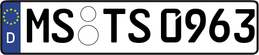 MS-TS0963