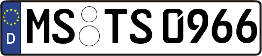 MS-TS0966
