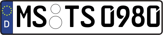 MS-TS0980