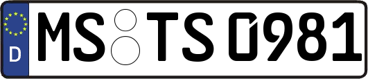 MS-TS0981